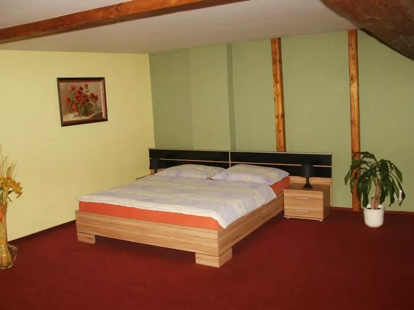 Photo 2 of Hostel Alia