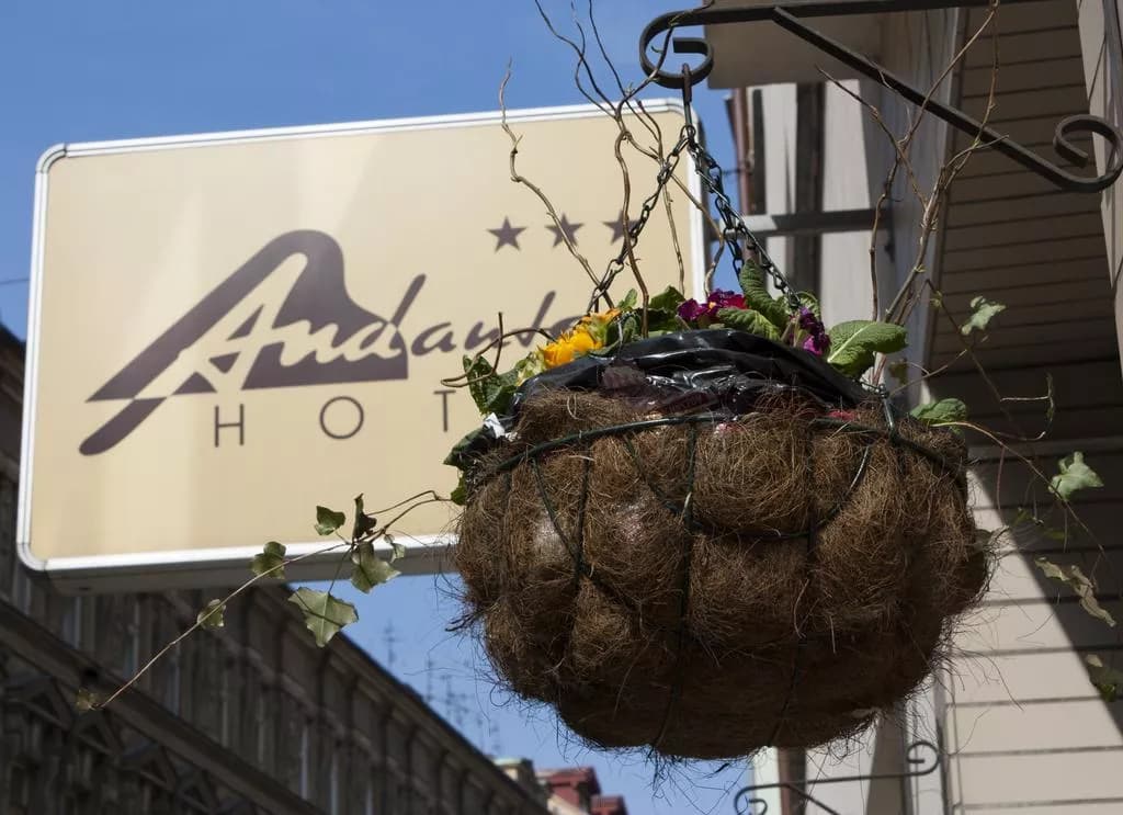 Photo 5 of Hotel Andante