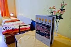 Photo 5 of HOSTEL DAKURA