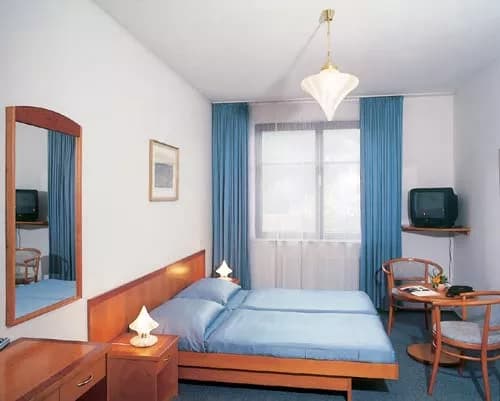 Photo 5 of hotel Dalimil