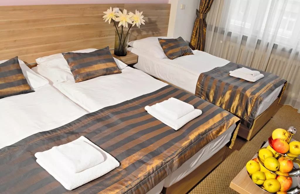 Photo 3 of Hotel Meda – Art of Museum Kampa