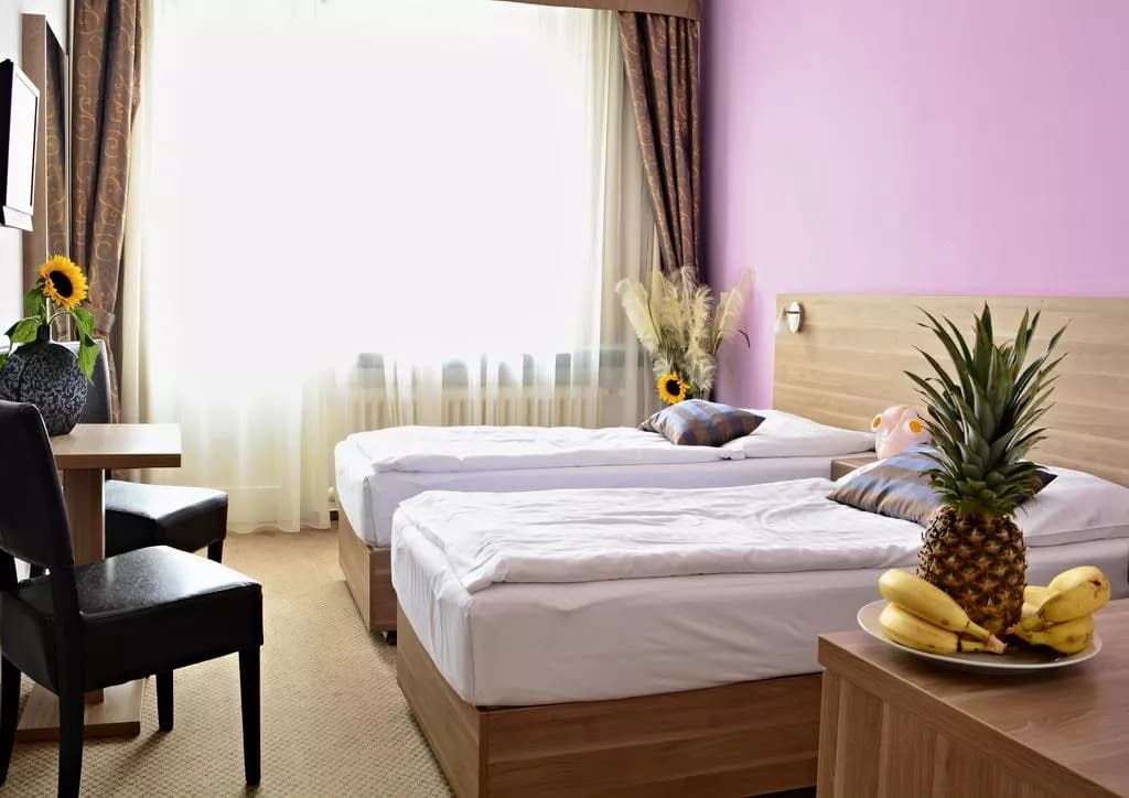 Photo 4 of Hotel Meda – Art of Museum Kampa
