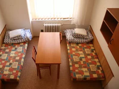 Photo 2 of Hostel Dizzy Daisy