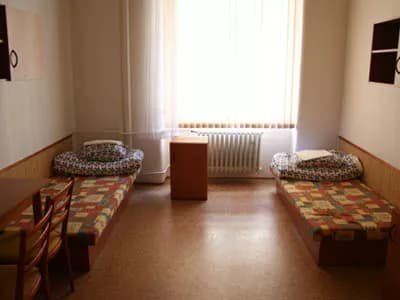 Photo 3 of Hostel Dizzy Daisy