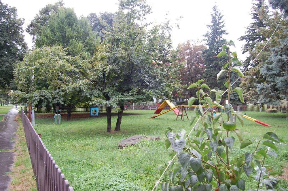 Photo 24