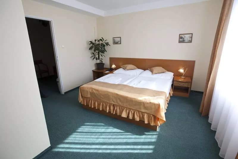 Photo 2 of Novoměstský hotel 