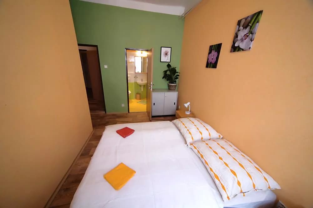 Photo 5