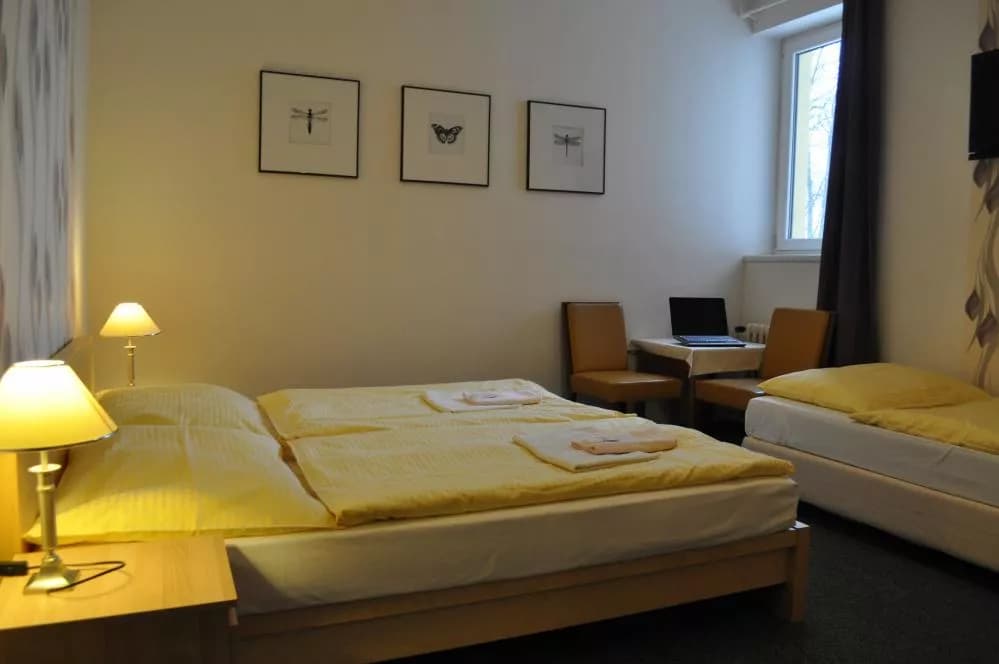 Photo 11