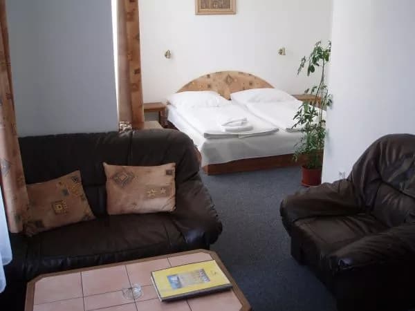 Photo 3 of Hotel U Šemíka