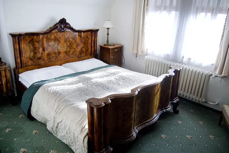Photo 4 of Hotel U Tri Pstrosu