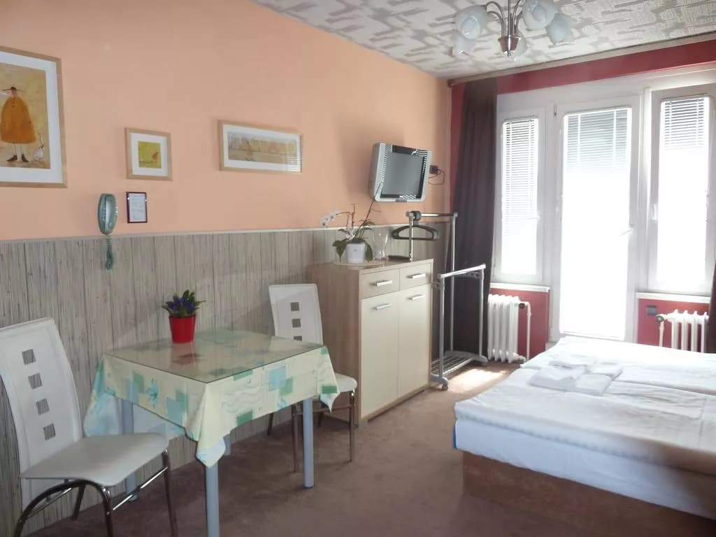 Residence Davids Krizikova, Prague New Town
