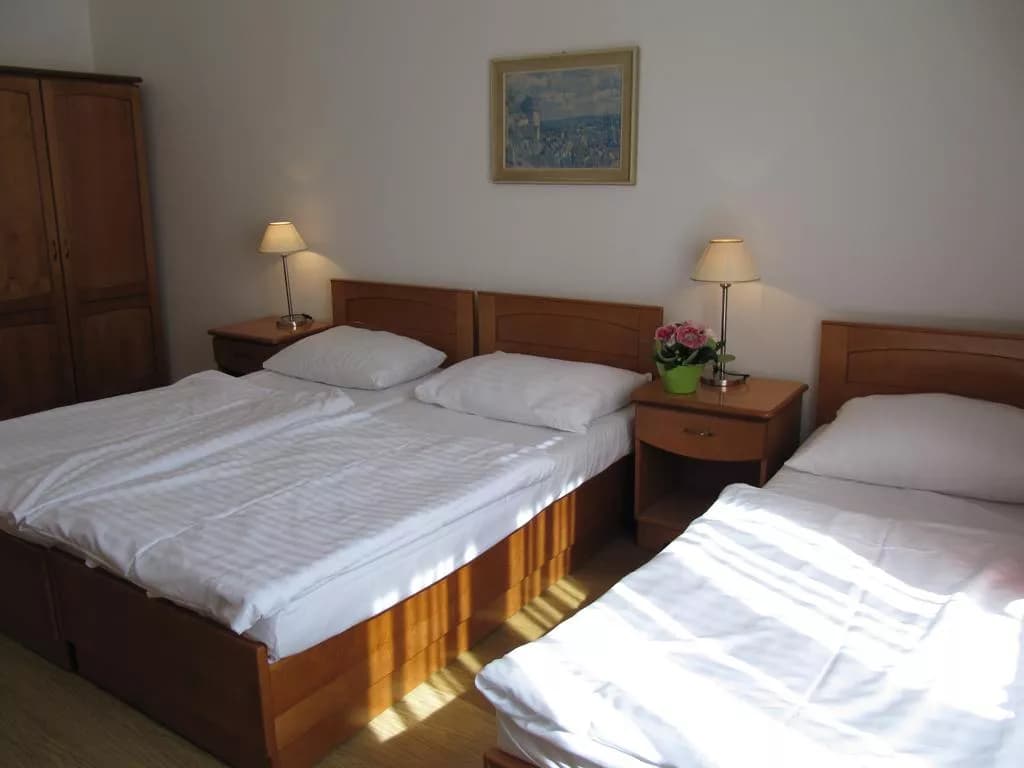 Photo 5 of Pension Jana / Domov Mládeže