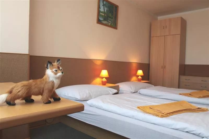 Photo 4 of Pension FOX