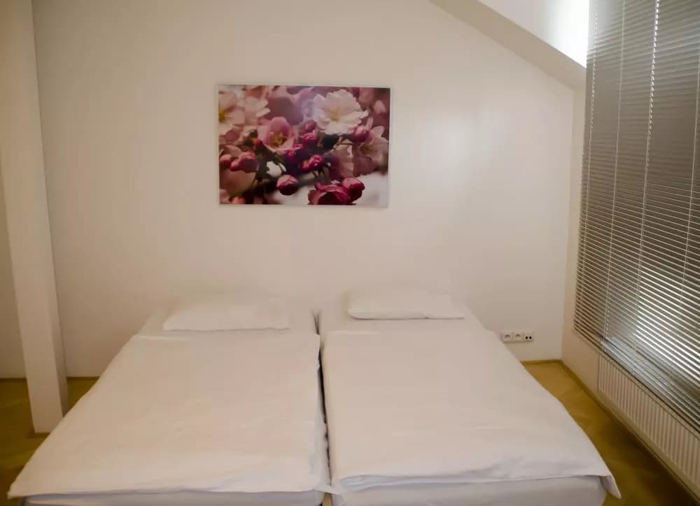 Photo 2 of Apartments Lenka
